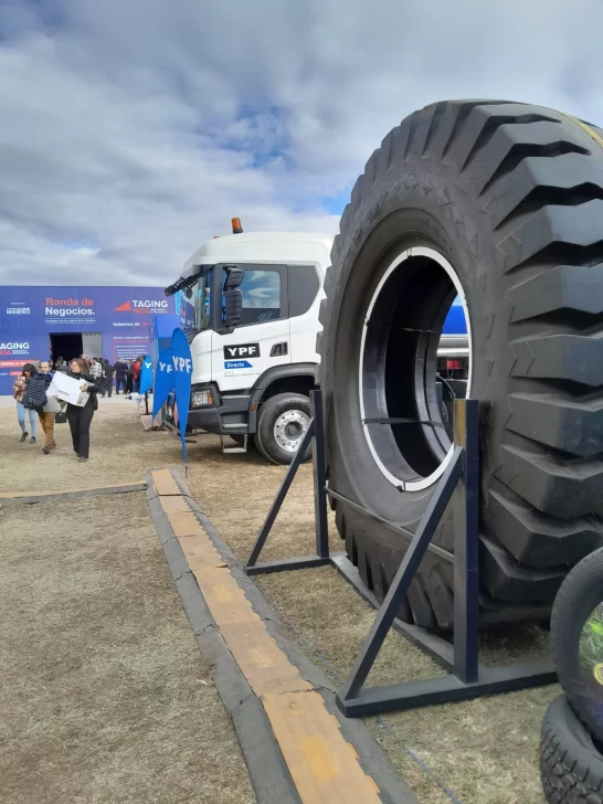 WhatsApp-Image-2024-05-21-at-17.35.35-2-546x728