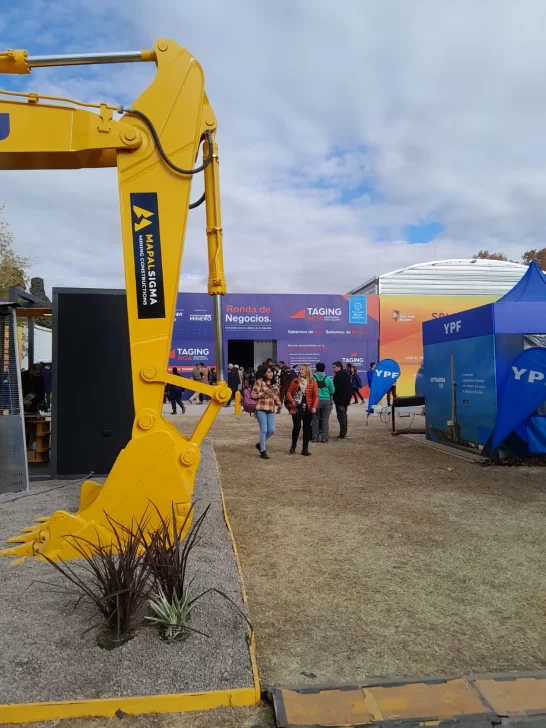 WhatsApp-Image-2024-05-21-at-17.35.35-3-546x728