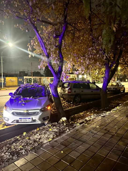 WhatsApp-Image-2024-05-26-at-09.04.48-1-546x728 WhatsApp-Image-2024-05-26-at-09.04.48-1-546x728