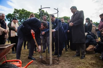 Plantaron un olivo en la Plaza España como símbolo de la paz Plantaron un olivo en la Plaza España como símbolo de la paz