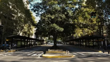 Según el Gobierno, el paro le costará más de 500 millones de dólares a la economía