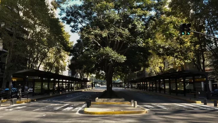 Según el Gobierno, el paro le costará más de 500 millones de dólares a la economía