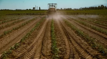 Bajaron las tasas de las líneas de crédito dispuestas desde el Ministerio de Producción Bajaron las tasas de las líneas de crédito dispuestas desde el Ministerio de Producción