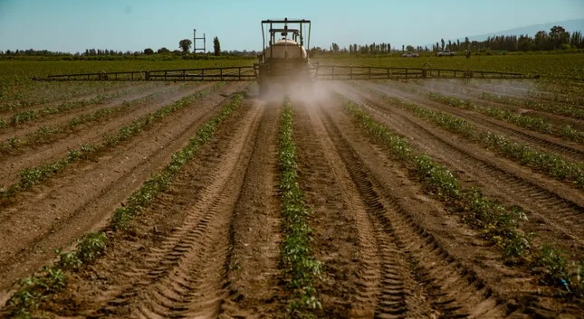 Bajaron las tasas de las líneas de crédito dispuestas desde el Ministerio de Producción Bajaron las tasas de las líneas de crédito dispuestas desde el Ministerio de Producción