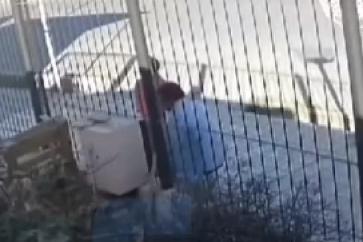 VIDEO: acompañado por una nena, robó el caño de cobre de un gabinete de gas
