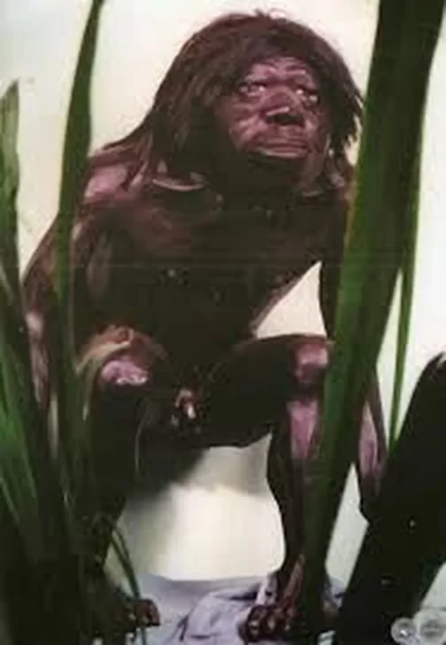 36425c7f-c8c0-4aa7-870d-901c7f066596-504x728