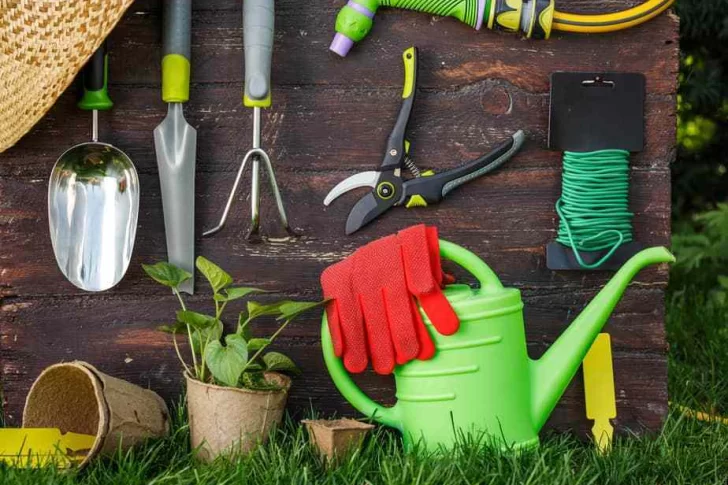 Tareas de invierno en el jardín