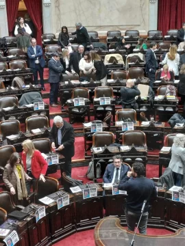 Un diputado cuestionó al kirchnerismo por los carteles que piden la aparición de Loan en las bancas del recinto