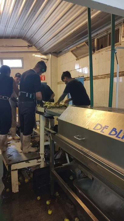 PLANTASECUNDARIA-409x728