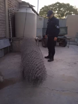 25 de Mayo: una mujer y un hombre cayeron en Villa Miami por robar un alambrado en una planta de OSSE 25 de Mayo: una mujer y un hombre cayeron en Villa Miami por robar un alambrado en una planta de OSSE