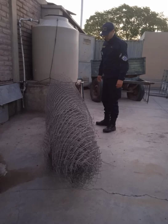 25 de Mayo: una mujer y un hombre cayeron en Villa Miami por robar un alambrado en una planta de OSSE 25 de Mayo: una mujer y un hombre cayeron en Villa Miami por robar un alambrado en una planta de OSSE