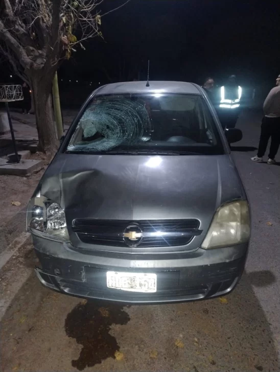 Borracho y sin luz, atropelló a una mujer que caminaba por la banquina y la dejó gravemente herida Borracho y sin luz, atropelló a una mujer que caminaba por la banquina y la dejó gravemente herida