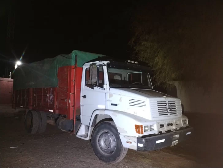 Sorprenden a un camionero que transportaba ilegalmente más de 800 estacones verdes