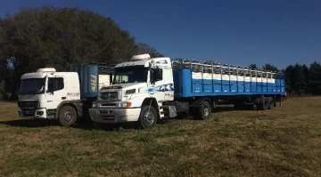 Un camionero que trajo cerdos a San Juan y cobró $13 millones en efectivo dijo que “piratas del asfalto” le robaron todo en San Luis Un camionero que trajo cerdos a San Juan y cobró $13 millones en efectivo dijo que “piratas del asfalto” le robaron todo en San Luis