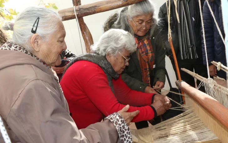 La trama de la celebración