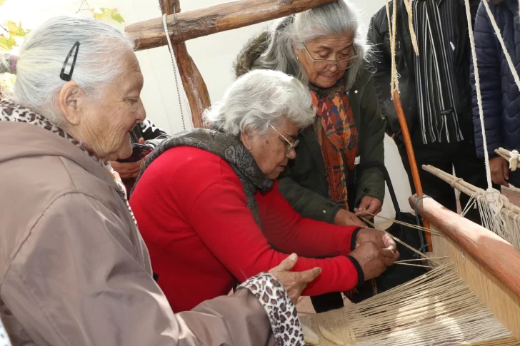 La trama de la celebración