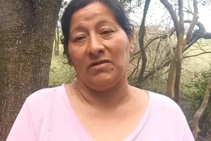 Qué decía Laudelina antes de declarar que Loan Danilo Peña murió atropellado