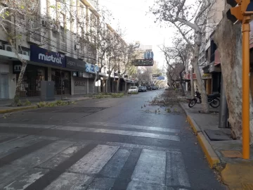 Poda y limpieza en la Ciudad: cronograma del 21 al 27 de julio Poda y limpieza en la Ciudad: cronograma del 21 al 27 de julio