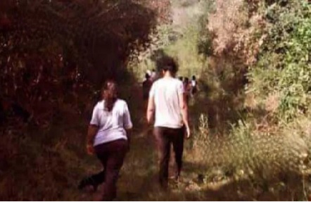 Loan caminó al naranjal, se ve en una foto