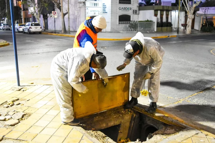 capital ratas desrati