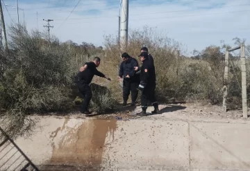 Exitoso operativo rescate para salvar a un perro que cayó a un canal Exitoso operativo rescate para salvar a un perro que cayó a un canal