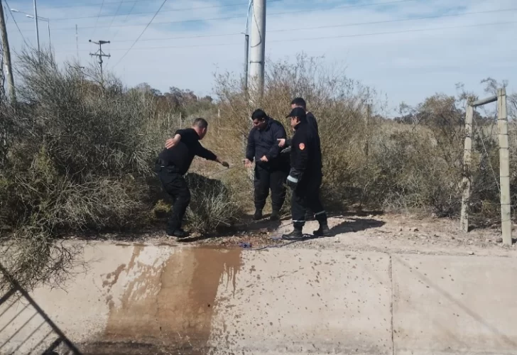 Exitoso operativo rescate para salvar a un perro que cayó a un canal Exitoso operativo rescate para salvar a un perro que cayó a un canal