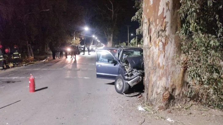 Identificaron al conductor que estrelló su camioneta contra un eucalipto y murió en el acto: tenía 21 años Identificaron al conductor que estrelló su camioneta contra un eucalipto y murió en el acto: tenía 21 años