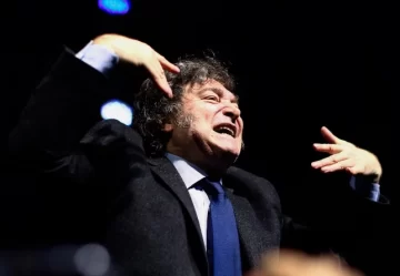 Milei replicó un tuit que pedía echar al funcionario que solicitó las disculpas de la Selección Milei replicó un tuit que pedía echar al funcionario que solicitó las disculpas de la Selección