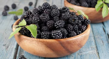 Mora: la fruta que ayuda a producir colágeno, reduce la aparición de arrugas y desinflama las articulaciones Mora: la fruta que ayuda a producir colágeno, reduce la aparición de arrugas y desinflama las articulaciones