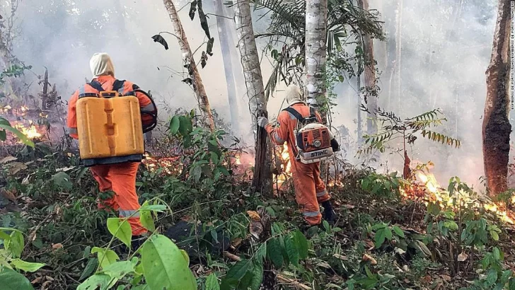 Incendios voraces en el Amazonas y en Grecia Incendios voraces en el Amazonas y en Grecia