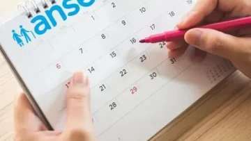 Calendario de pagos de ANSES del mes de julio: las fechas para cada beneficio