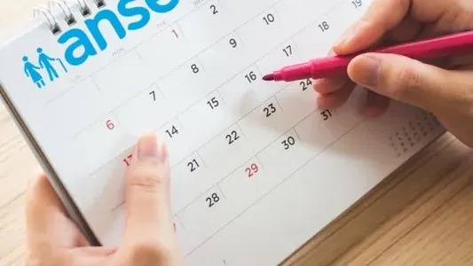 Calendario de pagos de ANSES del mes de julio: las fechas para cada beneficio
