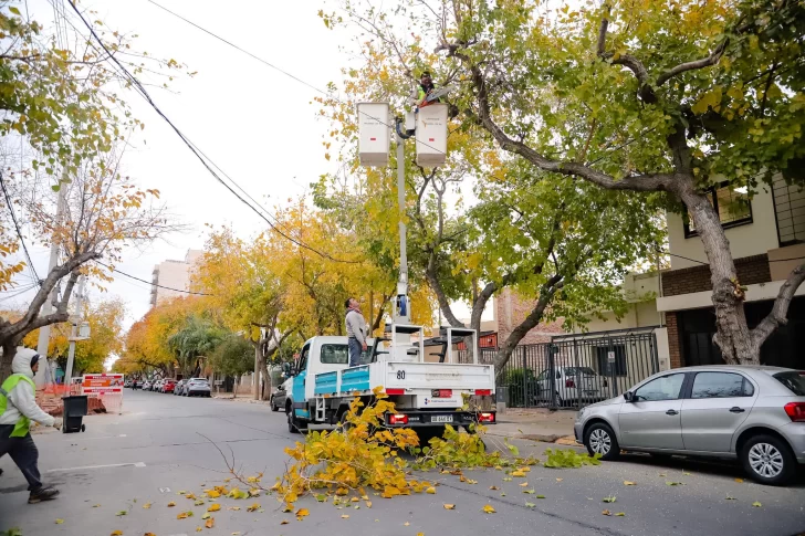 Poda en Capital: el cronograma de esta semana Poda en Capital: el cronograma de esta semana