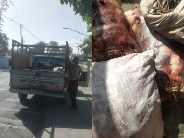 Decomisaron más de 100 kilos de carne de caballo y detuvieron a 5 personas en Chimbas