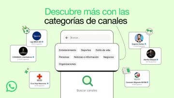 Cómo funcionan las nuevas categorías de Canales en WhatsApp Cómo funcionan las nuevas categorías de Canales en WhatsApp