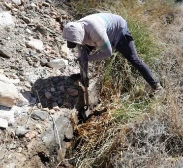 Mal estado de la red de riego de Colangüil Mal estado de la red de riego de Colangüil