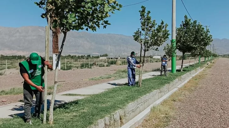 Forestar San Juan debe ser cuestión de Estado Forestar San Juan debe ser cuestión de Estado