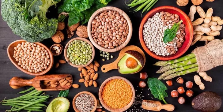 Argentina se destaca en innovación y valor agregado de la proteína vegetal Argentina se destaca en innovación y valor agregado de la proteína vegetal