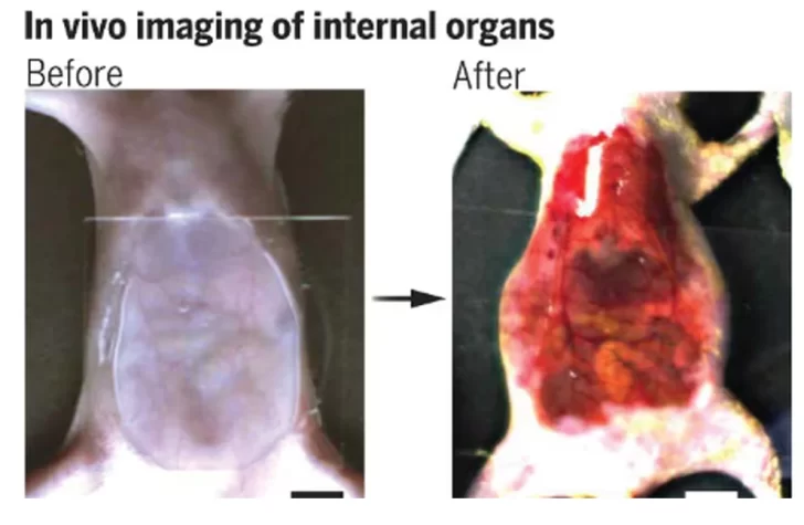 investigacion-09-728x475 investigacion-09-728x475