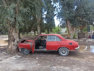 Perdió el control y chocó contra un árbol tras agacharse a buscar algo que se le cayó a su hijo Perdió el control y chocó contra un árbol tras agacharse a buscar algo que se le cayó a su hijo
