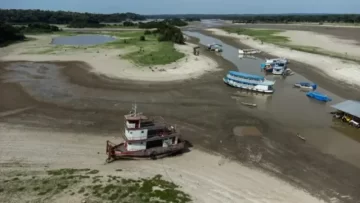 El río Amazonas se está secando: advierten sobre el cambio climático El río Amazonas se está secando: advierten sobre el cambio climático