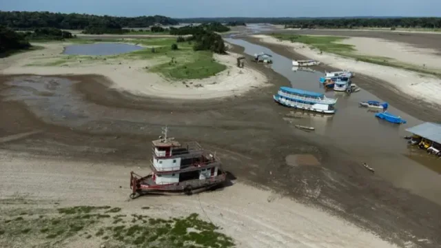 El río Amazonas se está secando: advierten sobre el cambio climático El río Amazonas se está secando: advierten sobre el cambio climático