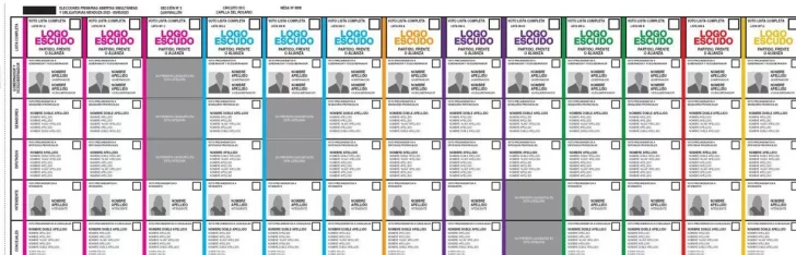 Es ley la Boleta Única que se usará en las elecciones 2025
