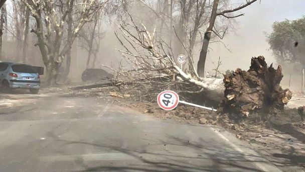 Importancia de prevenir ante el viento zonda Importancia de prevenir ante el viento zonda