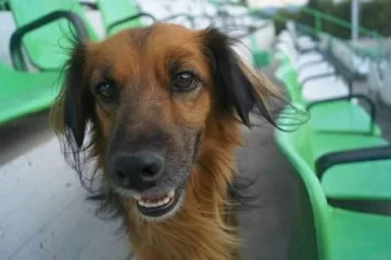 Tristeza en Puyuta por la muerte del “Carucha”, un personaje de Sportivo Desamparados Tristeza en Puyuta por la muerte del “Carucha”, un personaje de Sportivo Desamparados