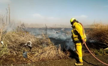 Detuvieron a un hombre que estaba quemando pastizales en Jáchal Detuvieron a un hombre que estaba quemando pastizales en Jáchal