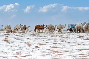 Hielo y nieve en el desierto de Arabia
