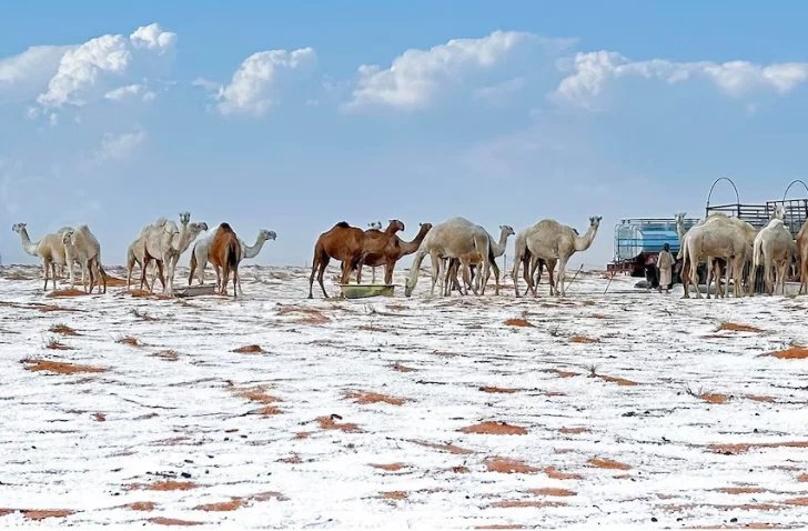 Hielo y nieve en el desierto de Arabia