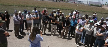 Especialistas destacan el potencial local en la producción de pistacho