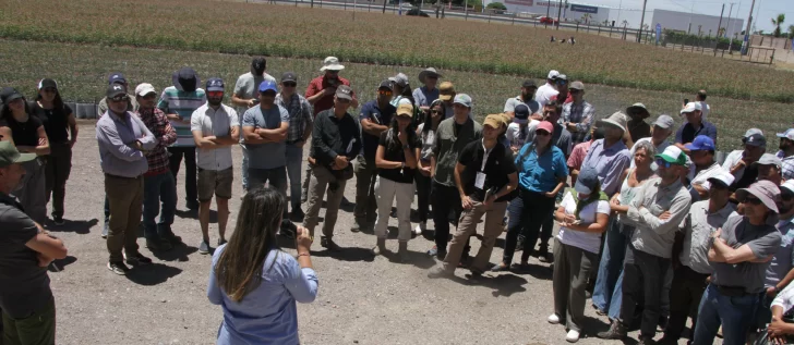 Especialistas destacan el potencial local en la producción de pistacho